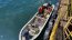  Autoridad Marítima de Coronel detiene a cuatro personas por robo de recurso loco en área de manejo  