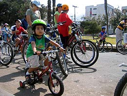 Imagen foto_00000003