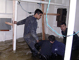 Imagen foto_00000004
