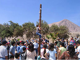 Imagen foto_00000001