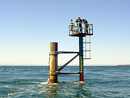 Imagen foto_00000001