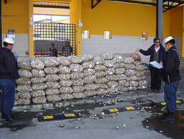 Imagen foto_00000002