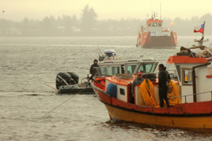 Marino rescata a persona desde las aguas del río Maullín