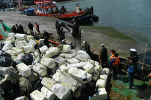 Limpieza de playas recolecta cinco toneladas de basura en Isla Cailín