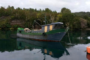 Armada decomisa seis toneladas de receptación de salmón en Chiloé
