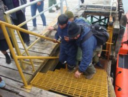 Rescatan con vida a hombre desaparecido en Magallanes