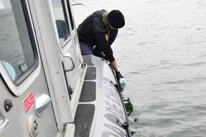 Armada tomó muestras en la bahía de Chañaral para medir contaminación del agua