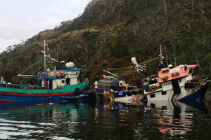 Armada realizó operativo de evacuación tras choque de pesqueros