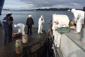 Efectivos navales incautaron toneladas de reineta y salmón