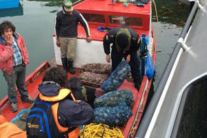 Importantes incautaciones de recursos marinos en Tierra del Fuego