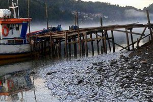 Armada se suma a trabajos para superar emergencia sanitaria en las costas de la Araucanía
