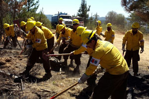 Brigadas de la Armada apoyan extinción de incendio en Curauma