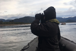 Autoridad Marítima realiza operativo de búsqueda de científico que cayó al mar en Aysén