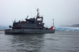 Armada instaló 11 boyas de señalización marítima en Campos de Hielo Norte y Sur