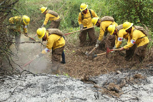 Contraalmirante Gómez llamó a la comunidad a mantener buen comportamiento para centrar esfuerzos en la extinción del fuego