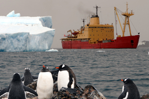Armada participó en estudios Antárticos para determinar si los pingüinos están preparados para el cambio climático