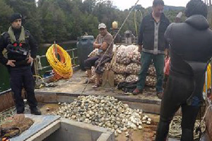 Armada decomisó 14 toneladas de pescados y mariscos en zona con Marea Roja