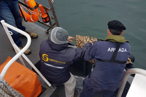 Con patrullajes aéreos y marítimos Autoridad Marítima realiza fiscalizaciones previas a Semana Santa