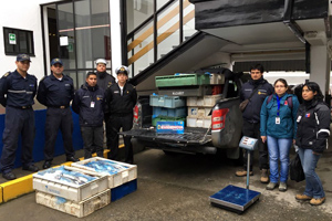 Autoridad Marítima de Valdivia incautó 700 kilos de merluza austral durante fiscalización realizada en feria fluvial