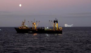 Armada cumple record de pesqueros fiscalizados en la Antártica