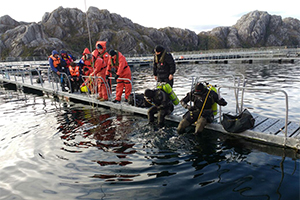 Recuperan cuerpo de buzo desaparecido en planta salmonera en Magallanes