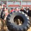 Grupo de Entrenamiento del Batallón IM 31 Aldea