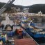 Reabastecimiento familias en Beagle