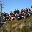 Reabastecimiento familias en Beagle