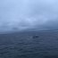 Rescate pescadores en Talcahuano