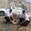 En patrullaje preventivo, personal de la Capitanía de Puerto de Patache encuentra 5280 kilos de guano blanco en el sector de Chanavaya al sur de Iquique