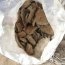 En patrullaje preventivo, personal de la Capitanía de Puerto de Patache encuentra 5280 kilos de guano blanco en el sector de Chanavaya al sur de Iquique