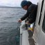 El muestreo fue realizado por la Capitanía de Puerto de Puerto Varas junto con las Seremis del Medio Ambiente y Salud y el Centro COPAS Sur-Austral de la Universidad de Concepción