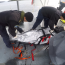  Autoridad Marítima de Puerto Williams efectuó procedimiento de tripulante fallecido  