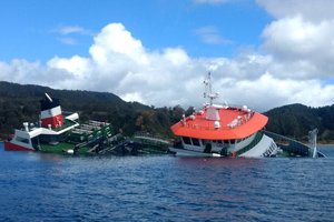 Armada realiza operativo tras hundimiento de buque con 200 toneladas de peces en la costa de la Isla de Chiloé