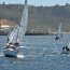 Más de un centenar de veleristas participaron en la regata “200 años Armada de Chile” en la bahía de Concepción