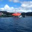 Armada realiza operativo tras hundimiento de buque con 200 toneladas de peces en la costa de la Isla de Chiloé