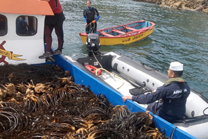 Capitanía de Puerto de Lirquén incauta embarcación con 2.5 toneladas de huiro negro