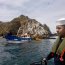 Capitanía de Puerto de Lirquén incauta embarcación con 2.5 toneladas de huiro negro