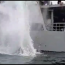 Buque “Piloto Pardo” y personal del SHOA instalan boya Watchkeeper frente a bahía de Concepción