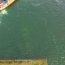 Capitanía de Puerto de Puerto Natales apoya trabajos tras accidente de camión caído con rampla y retroexcavadora al agua