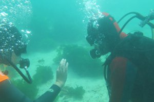 Buceo adaptado: Una experiencia inclusiva