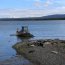 Autoridad Marítima de Puerto Natales supervisó plan de remoción de maquinarias caídas al agua