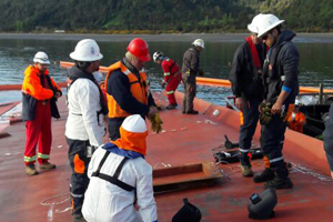 Con la fiscalización de la Armada comenzaron los trabajos de extracción de las 200 toneladas de salmones desde buque hundido en Chonchi