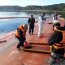 Armada fiscaliza y vela por seguridad de los trabajos en wellboat 