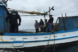 Armada detuvo embarcación peruana con 4 toneladas de tiburón azul