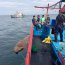 Armada desbarató banda peruana dedicada a la pesca ilegal en aguas chilenas