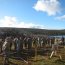 Curso Conjunto de Estado Mayor conoció el trabajo de Desminado Humanitario en Isla Nueva