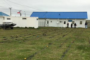 Autoridad Marítima de Tierra del Fuego junto a Sernapesca incautan más de 400 metros de redes de pesca centollera