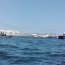 Capitanía de Puerto de Patache realizó primer ejercicio de combate a la contaminación