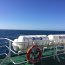 “Cabo de Hornos” continúa apoyando labores de rebusca del submarino ARA “San Juan”